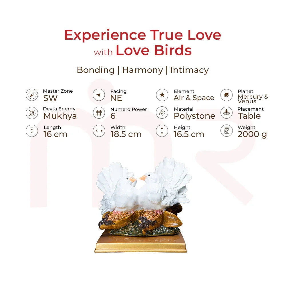Polystone love birds figurine for bonding, harmony, and intimacy Vastu remedy, table decor