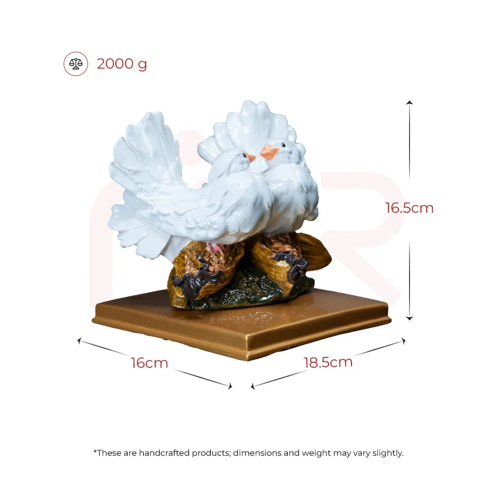 Love Birds/White Pigeons - Experience True Love