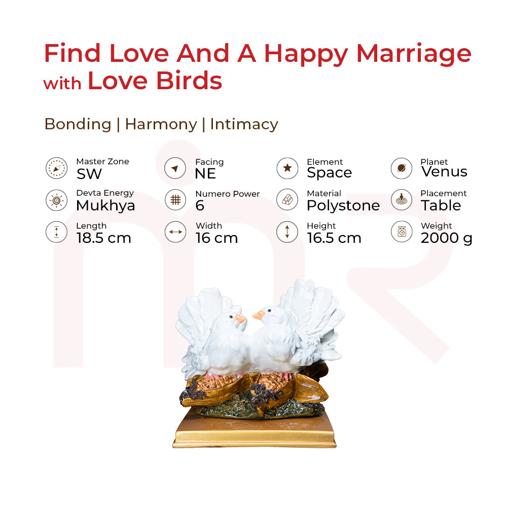 Love Birds/White Pigeons - Find Love And A Happy Marriage