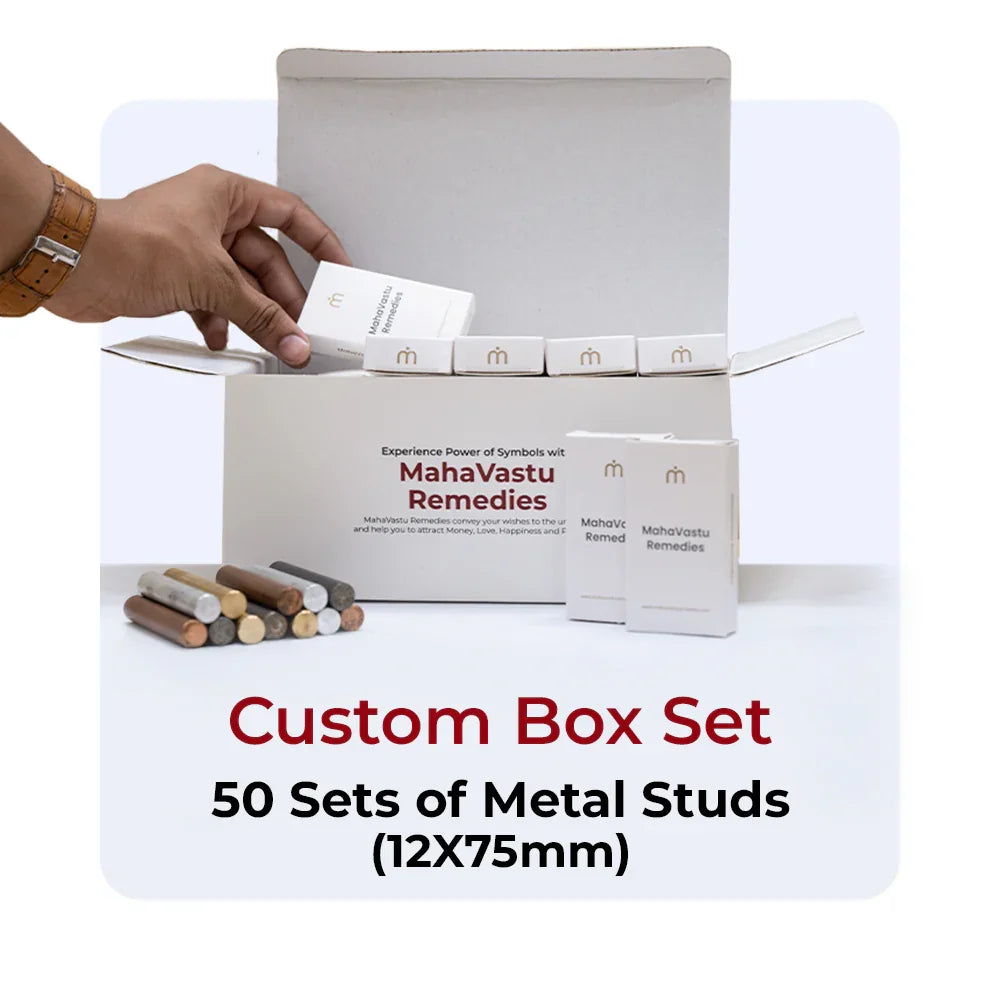 Metal Studs 12x75mm Box Set