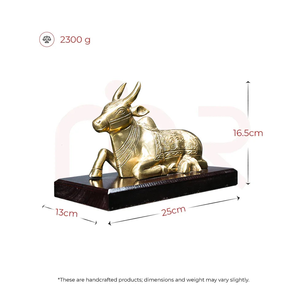 Nandi - Secures your Business