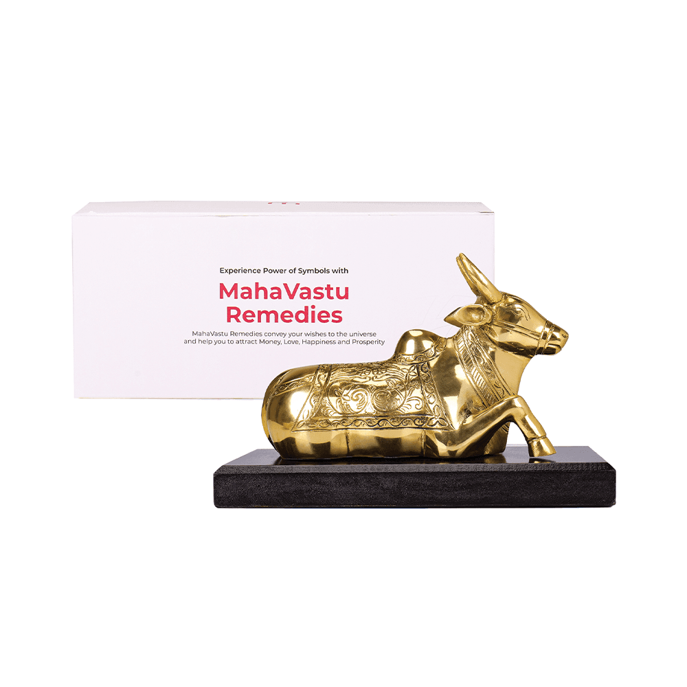 Nandi - Secures your Business - MahaVastu Remedies