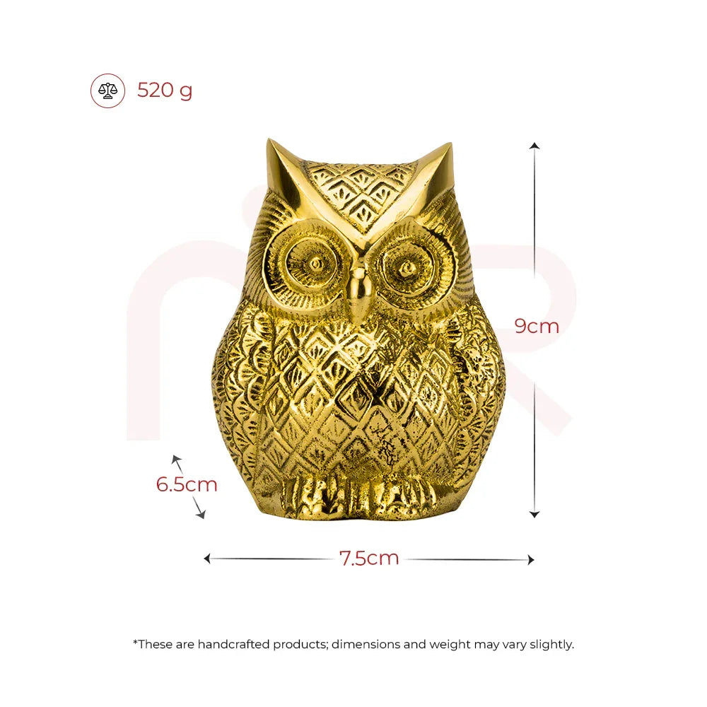 Owl - Sharpens the Vision