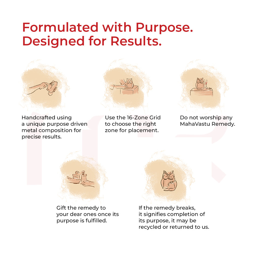 Owl - Sharpens the Vision