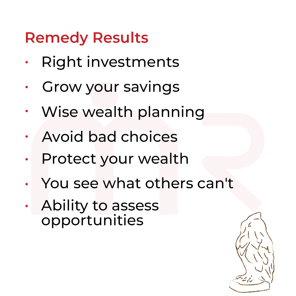 Remedy Results for smart money decisions featuring a MahaVastu Remedies owl idol illustration.