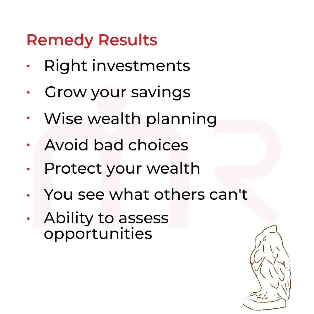 Remedy Results for smart money decisions featuring a MahaVastu Remedies owl idol illustration.