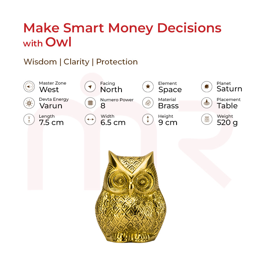 Owl - Sharpens the Vision