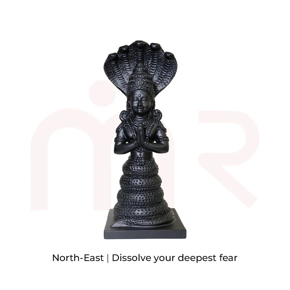 Patanjali1 - MahaVastu Remedies