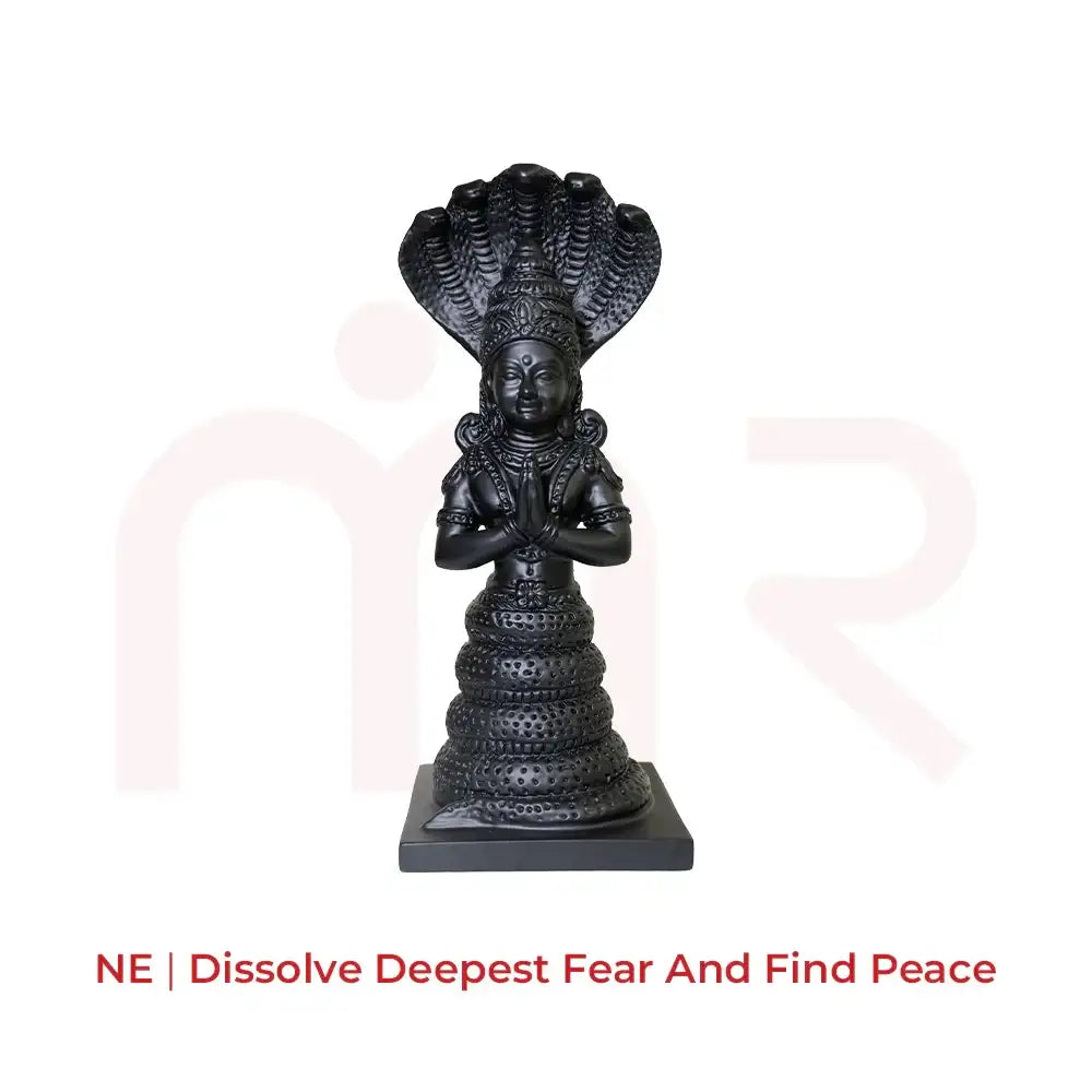 Patanjali1 - MahaVastu Remedies