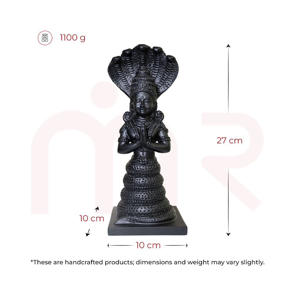 Patanjali2 - MahaVastu Remedies