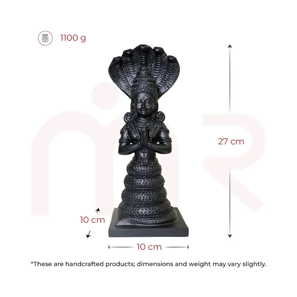Patanjali2 - MahaVastu Remedies
