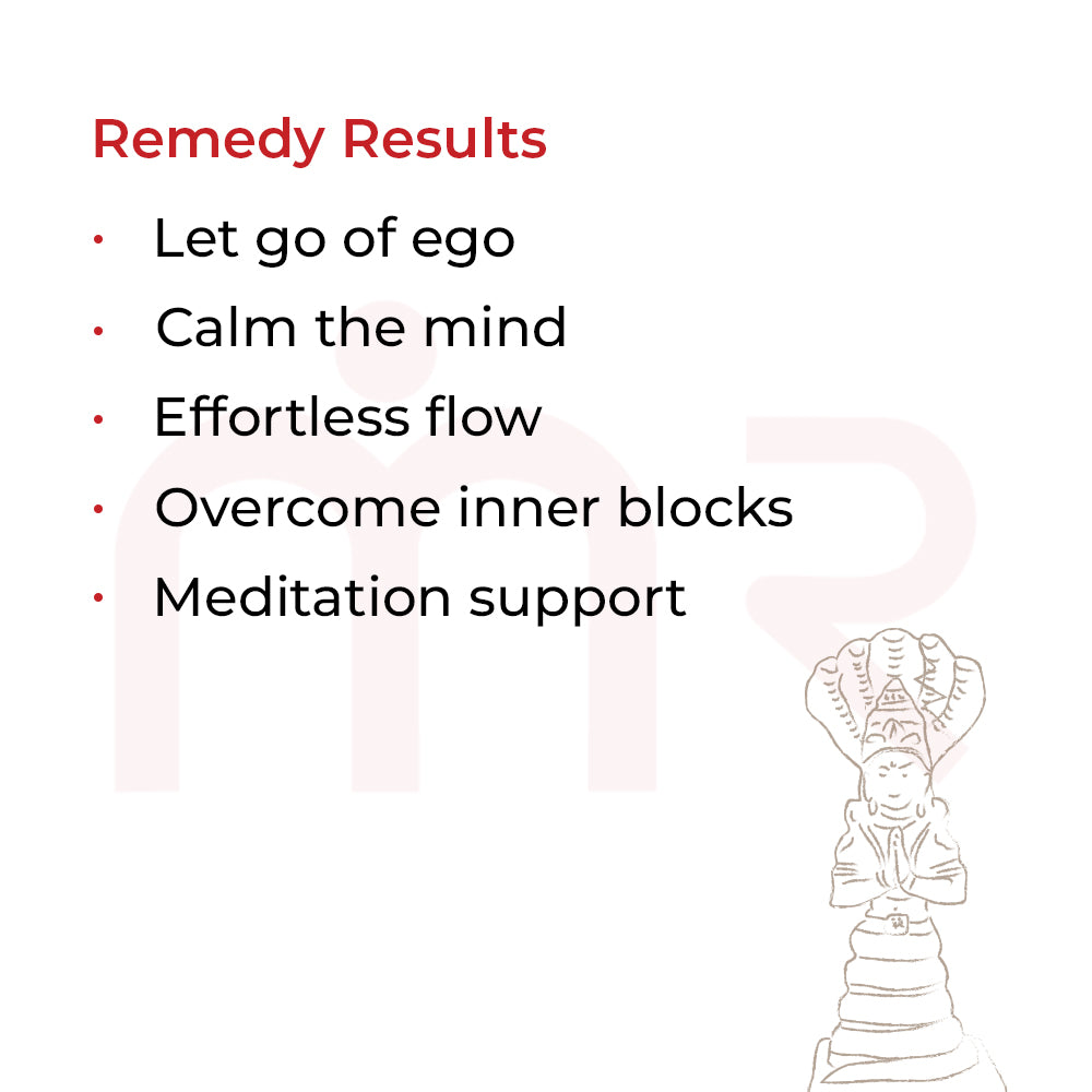 Patanjali4 - MahaVastu Remedies