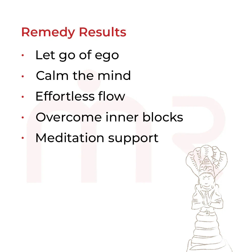 Patanjali4 - MahaVastu Remedies