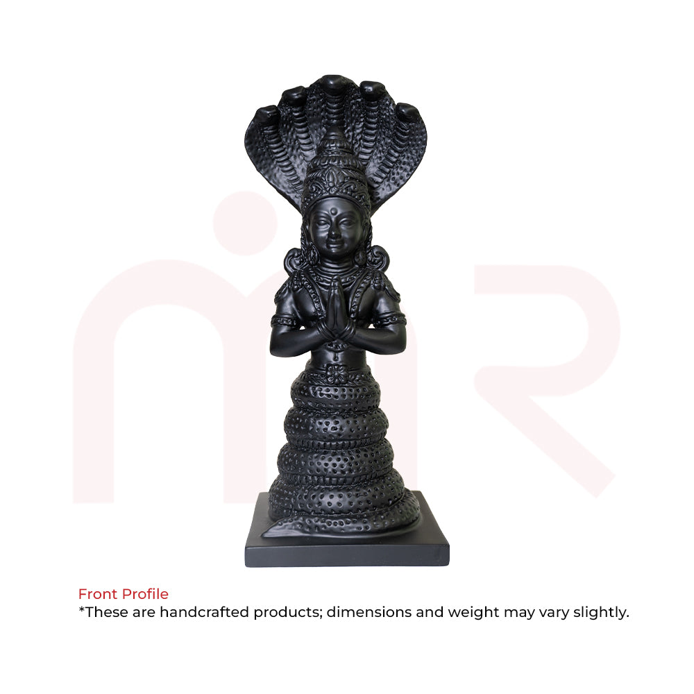 Patanjali5 - MahaVastu Remedies