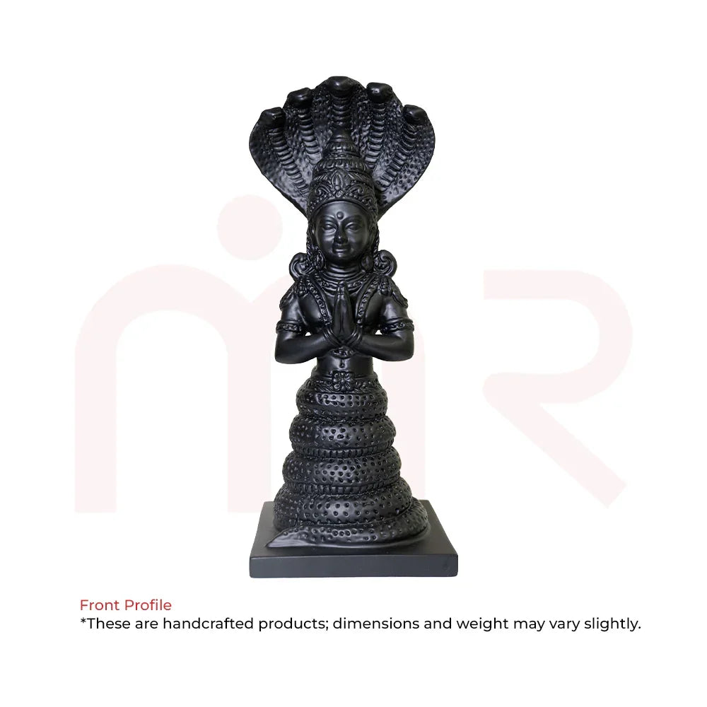 Patanjali5 - MahaVastu Remedies