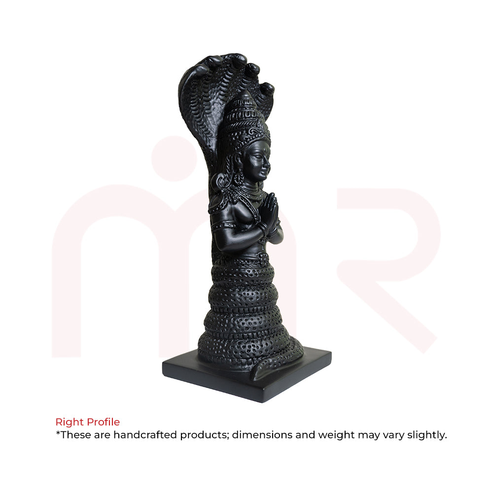 Patanjali6 - MahaVastu Remedies