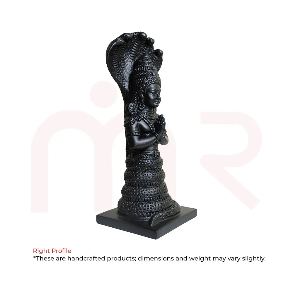 Patanjali6 - MahaVastu Remedies