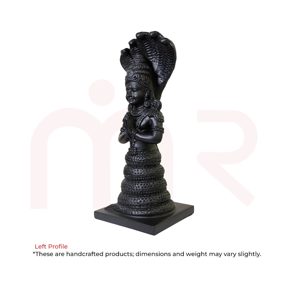 Patanjali7 - MahaVastu Remedies