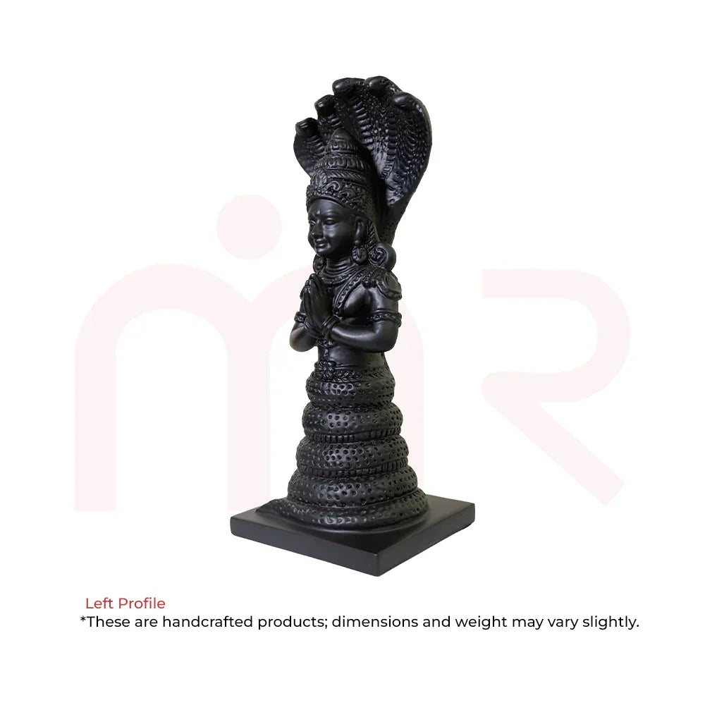 Patanjali7 - MahaVastu Remedies