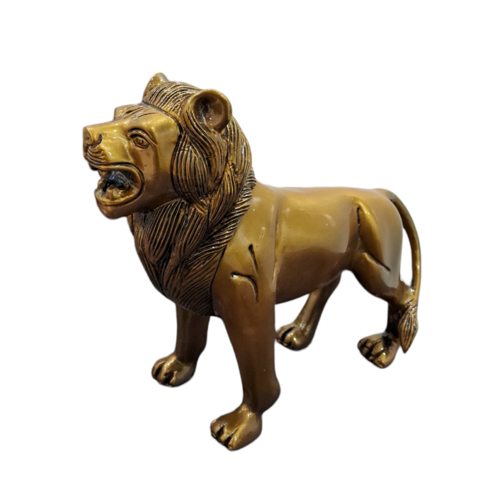 Lion – शेर
