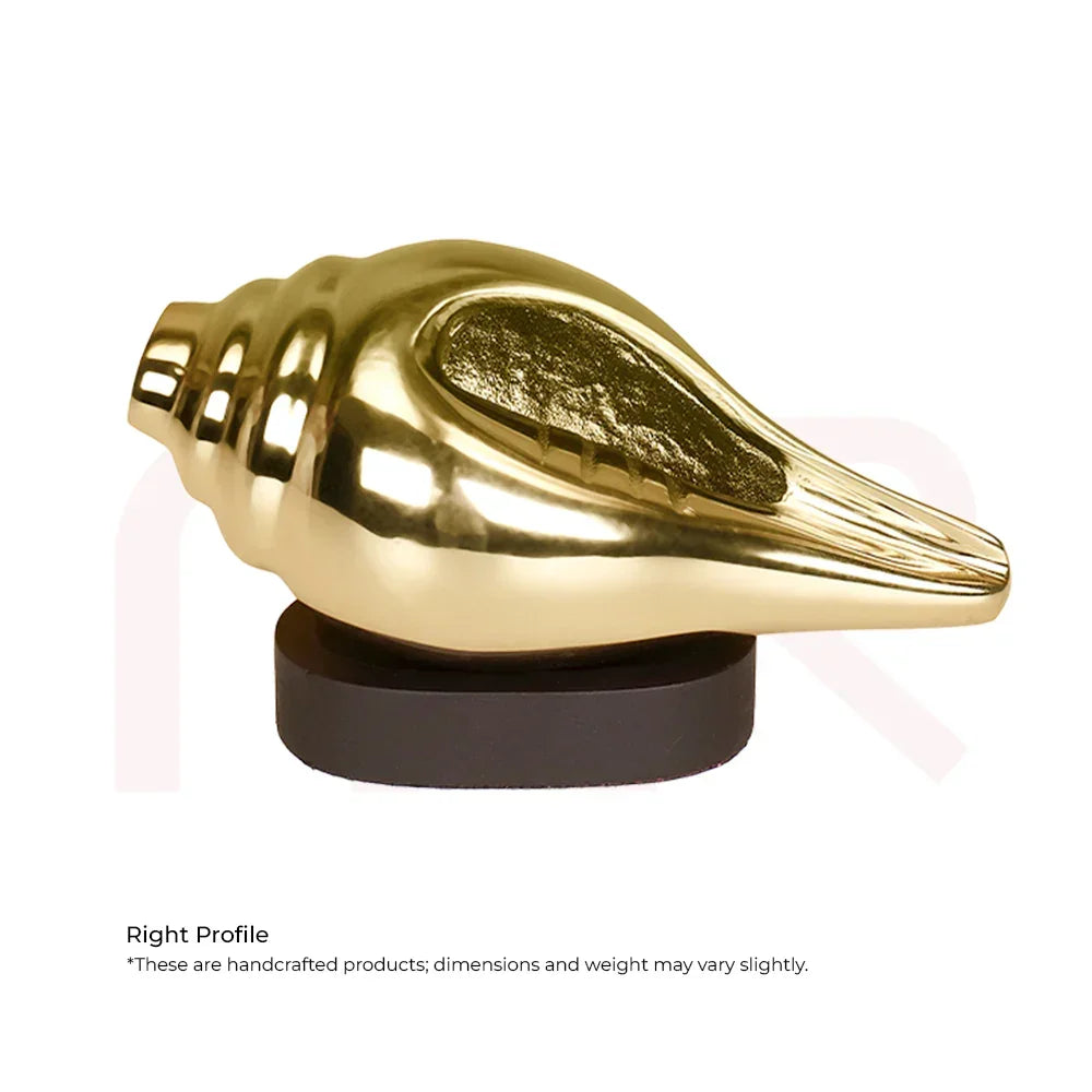 Gold Shankh conch shell Vastu remedy on black base for positivity and prosperity