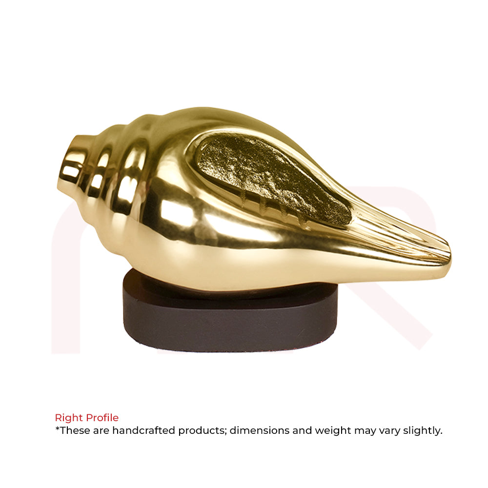 Gold Shankh conch shell Vastu remedy on black base for positivity and prosperity
