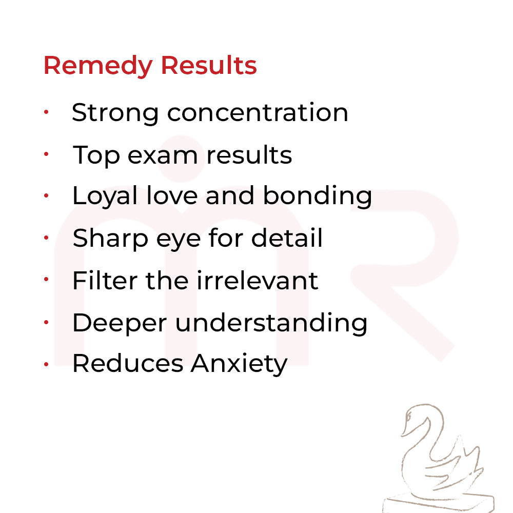 MahaVastu remedy guidelines infographic with hand illustrations and text about placement, gifting, and usage.