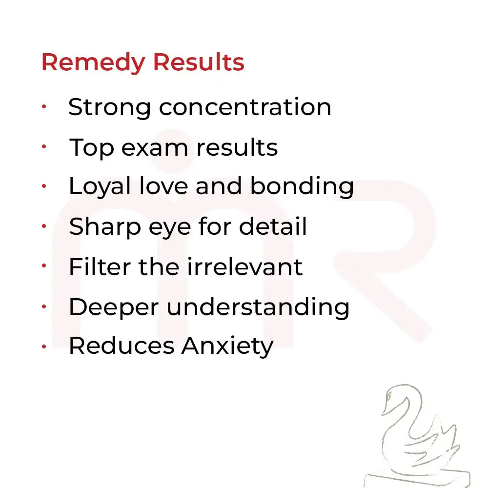 List of Vastu remedy results including strong concentration, top exam results, and reduced anxiety.