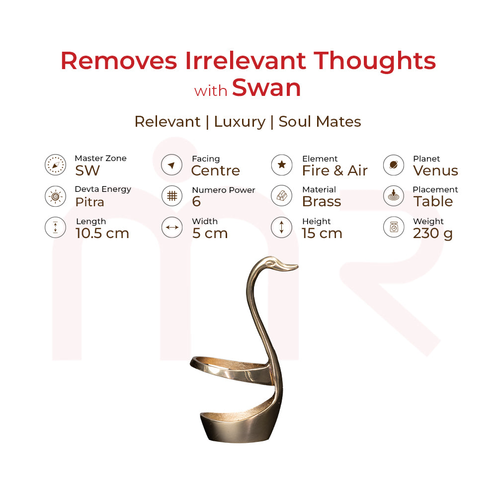 Swan - Removes Irrelevant Thoughts