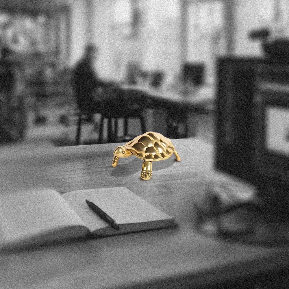 Tortoise - Unstoppable Victory through Patience and Perseverance