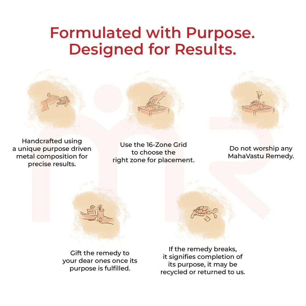 Illustrated MahaVastu remedy instructions with icons, Vastu Shastra tips, and usage guidance.