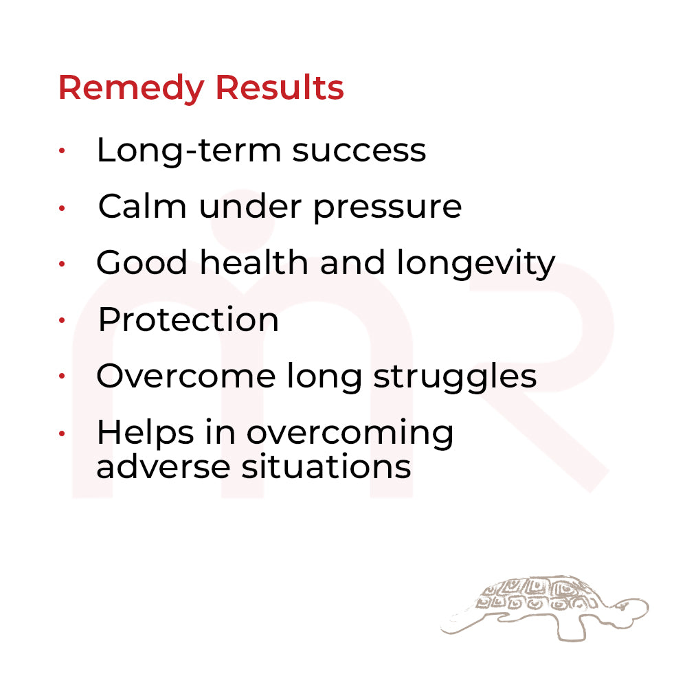 Brass tortoise vastu remedy for home, symbolizing persistence and victory, with dimensions displayed.