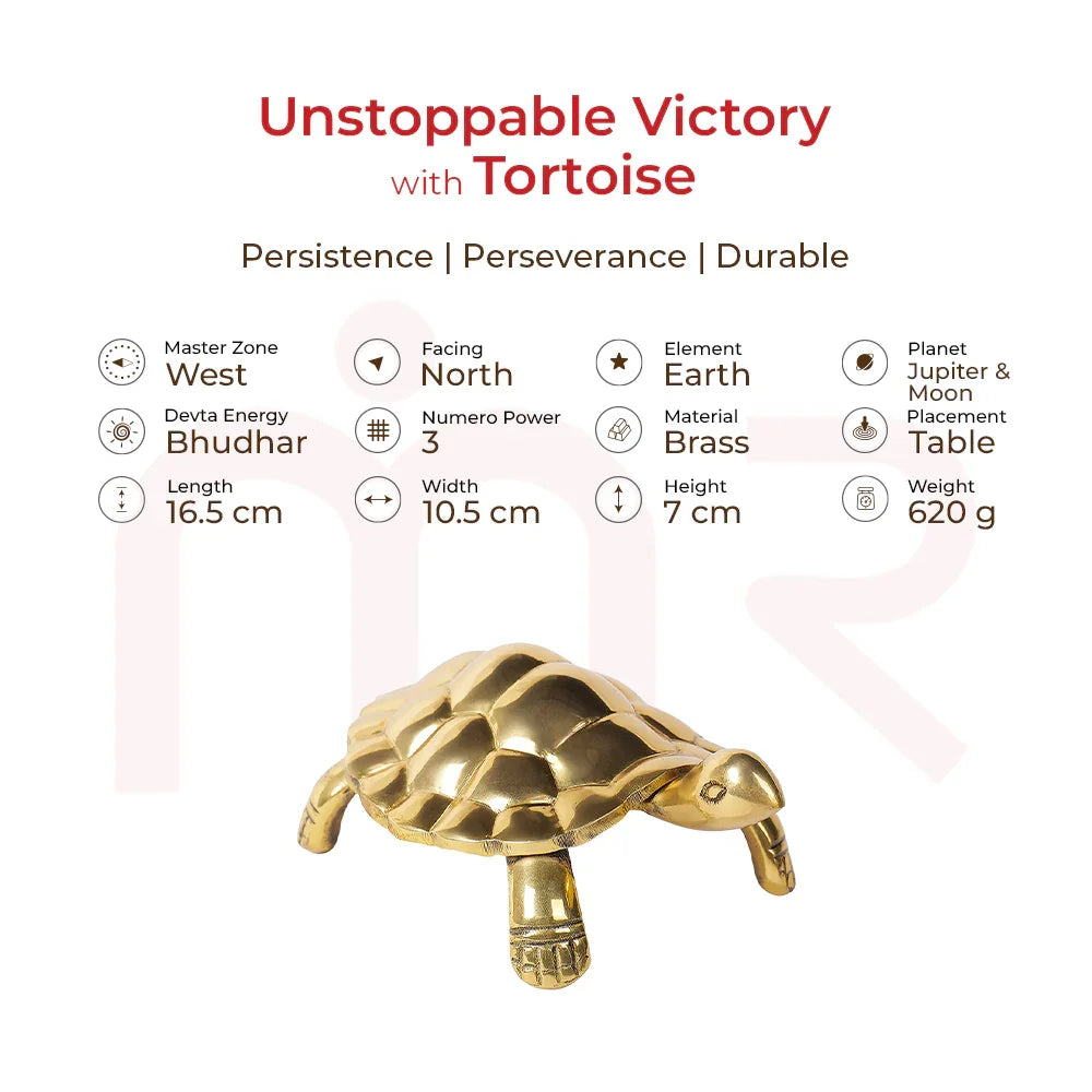 Brass tortoise vastu remedy for home, symbolizing persistence and victory, with dimensions displayed.