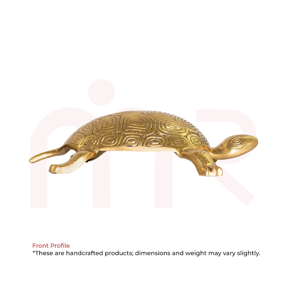 Brass tortoise figurine for Vastu remedy, handcrafted decor piece on white background