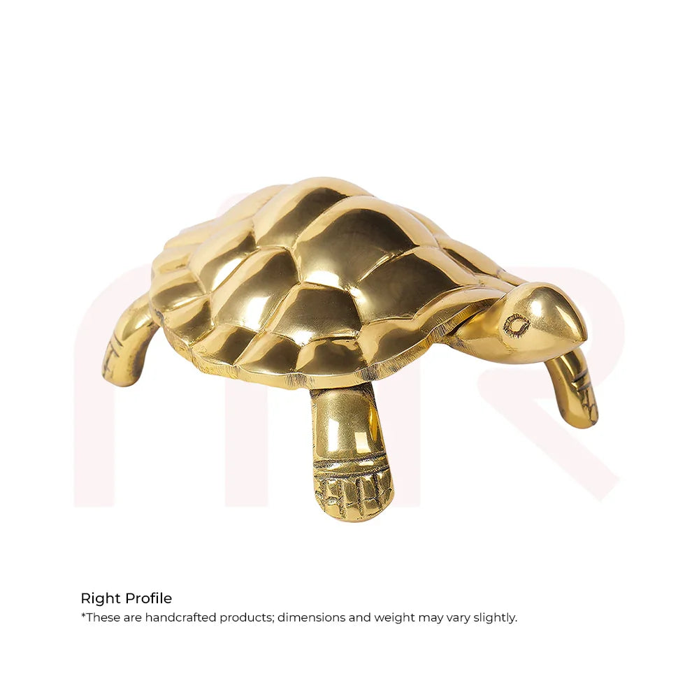 Golden brass tortoise Vastu remedy figurine for home decor and positive energy