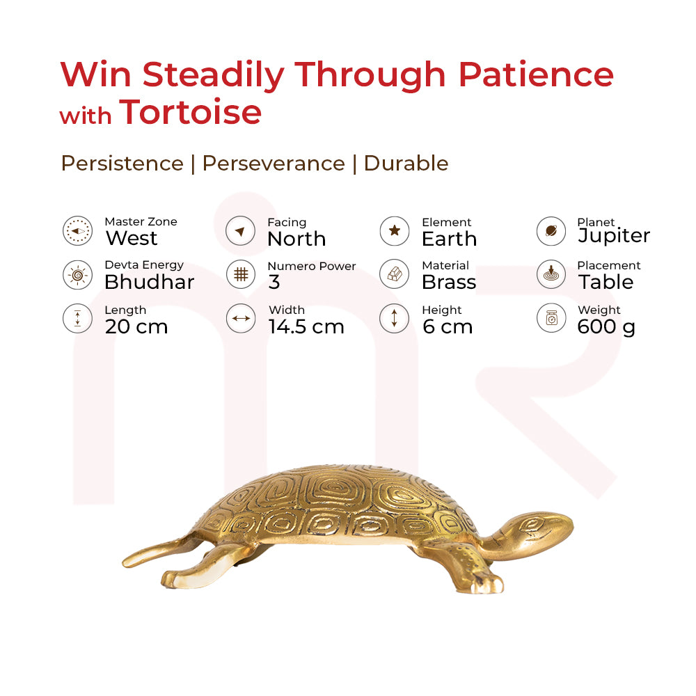 Brass tortoise Vastu remedy for patience, prosperity, and perseverance – facing north, ideal for table placement