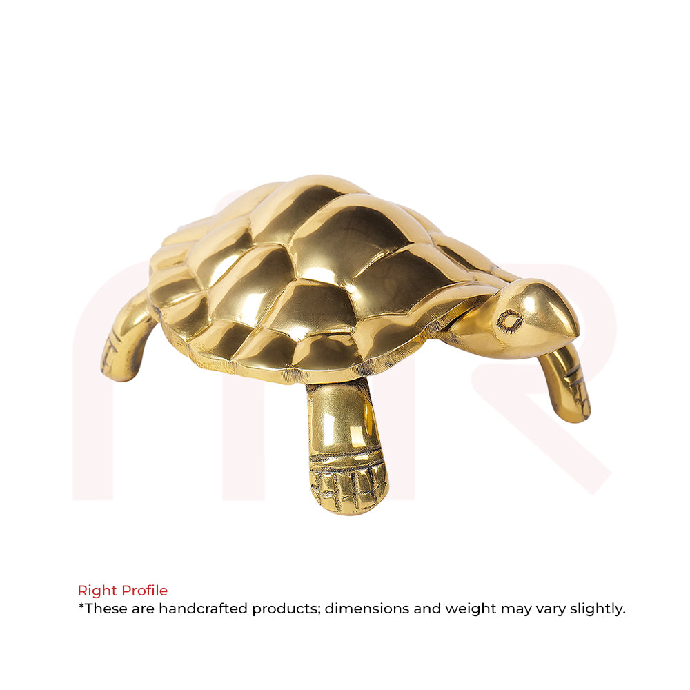 Tortoise - Win Steadily Through Patience