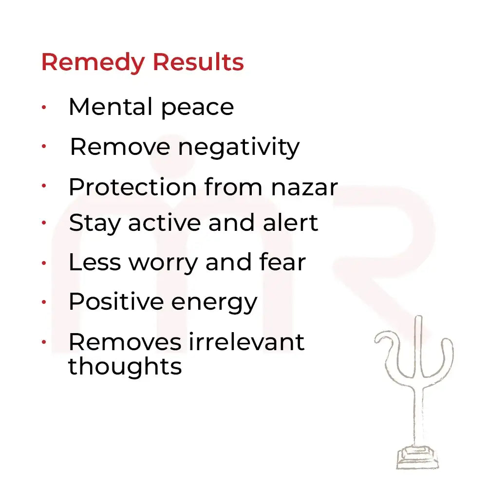 List of Maha Vastu remedy results including mental peace, positive energy, and removing negativity.