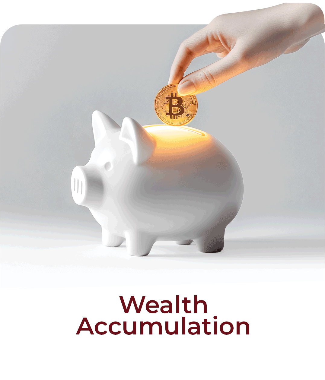 Wealth Accumulation