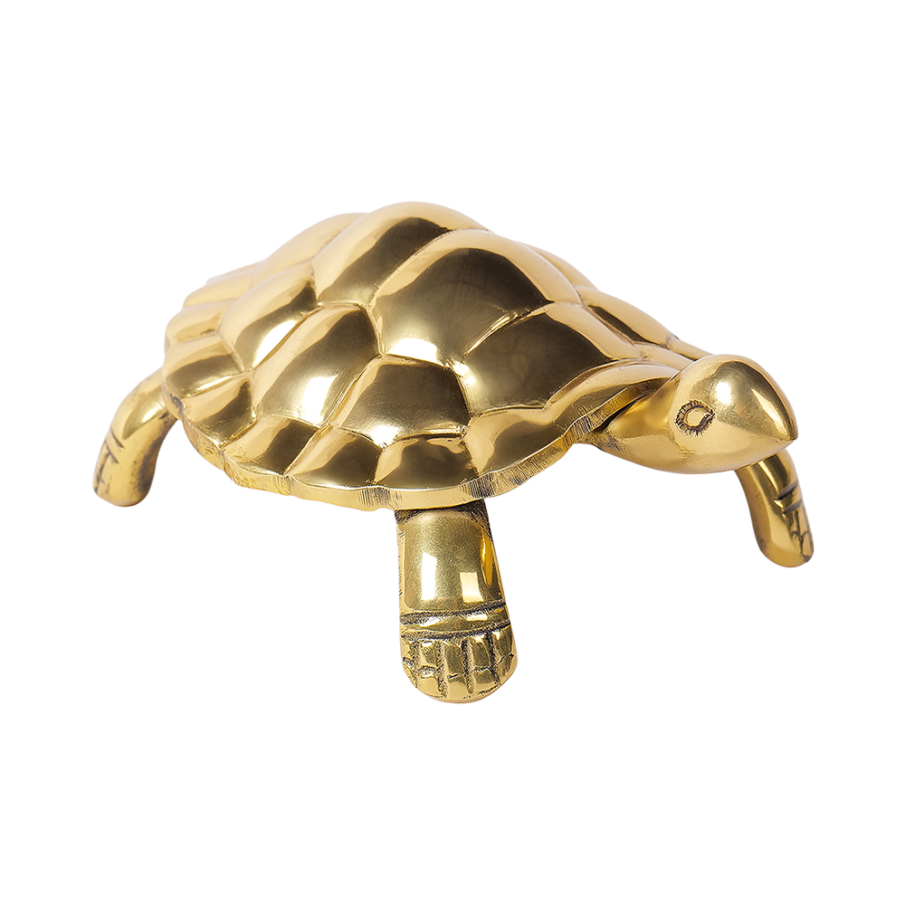 Tortoise - Unstoppable Victory through Patience and Perseverance