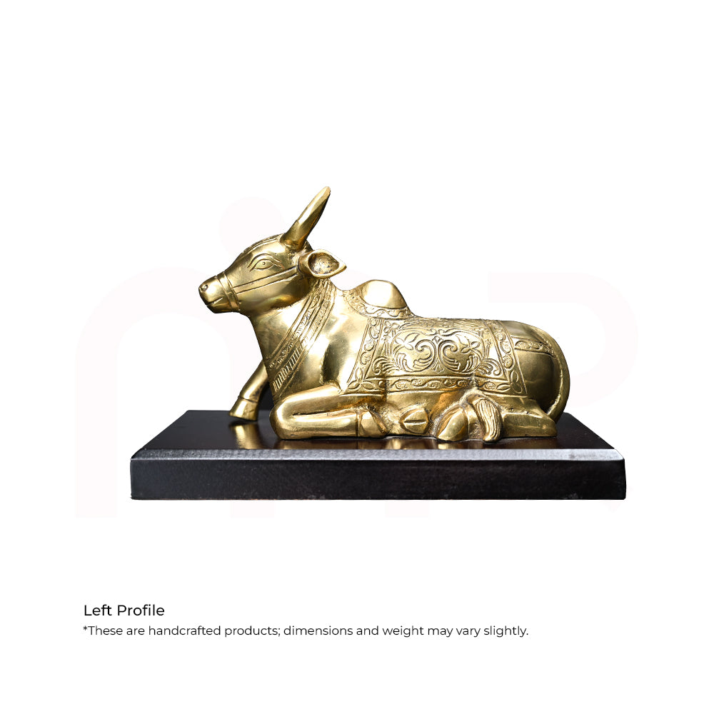 Nandi - Secures your Business