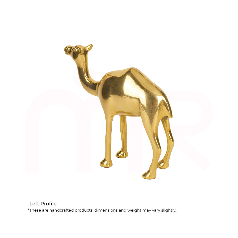 Camel - Multiply Profits & Gains