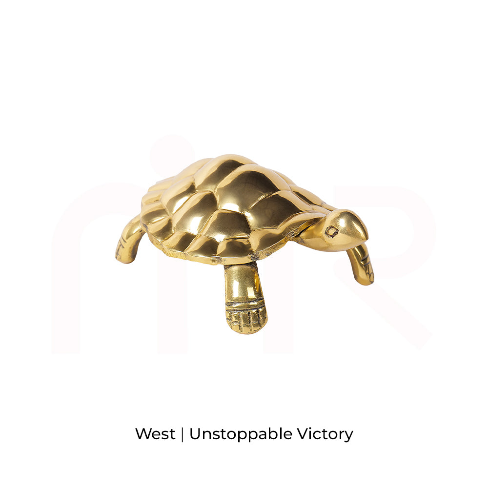Tortoise - Unstoppable Victory through Patience and Perseverance