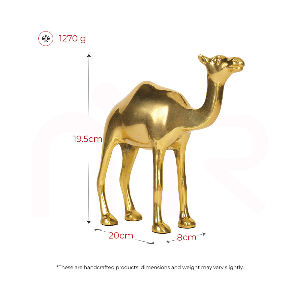 Camel - Multiply Profits & Gains