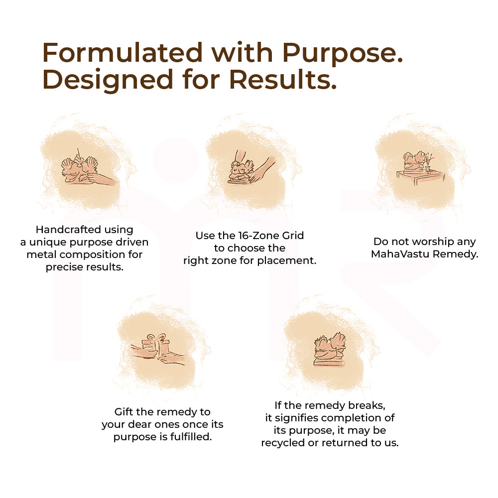 Love Birds/White Pigeons - Experience True Love