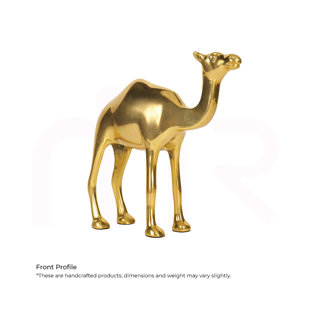 Camel - Multiply Profits & Gains