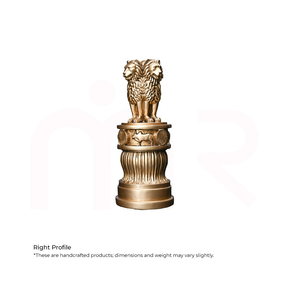 Ashoka Stambh  - Government Support