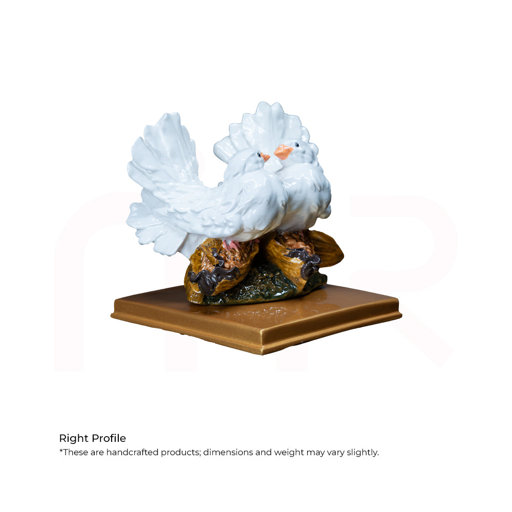 Love Birds/White Pigeons - Experience True Love