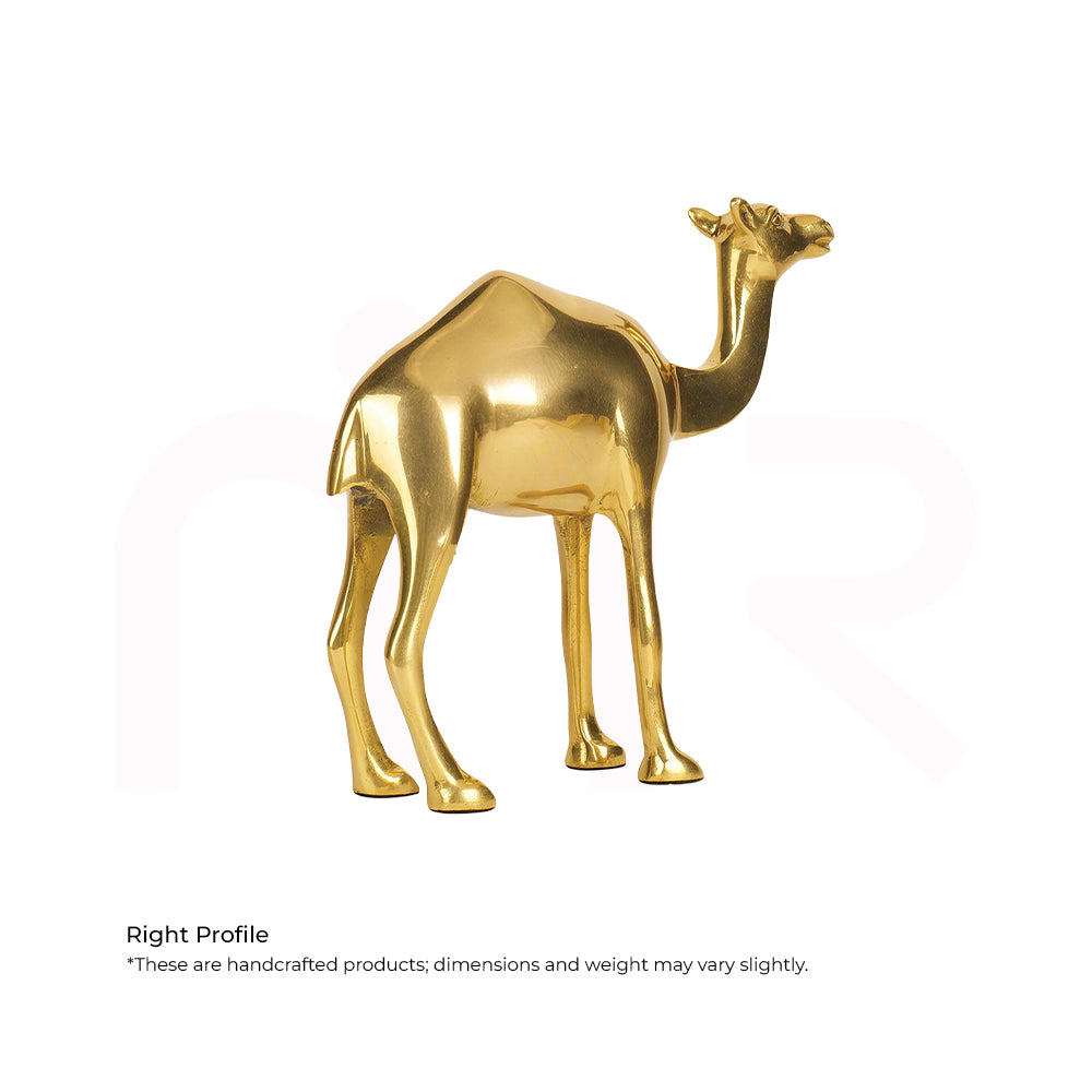 Camel - Multiply Profits & Gains