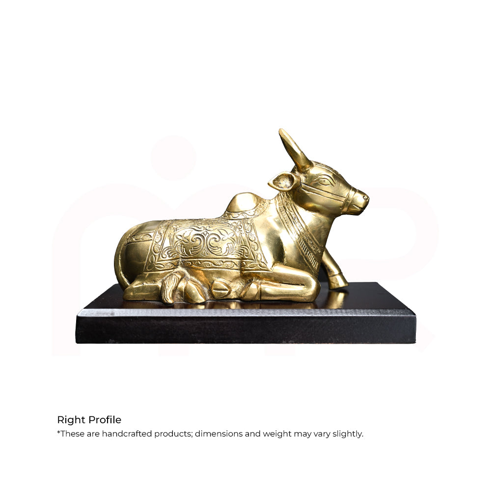 Nandi - Secures your Business